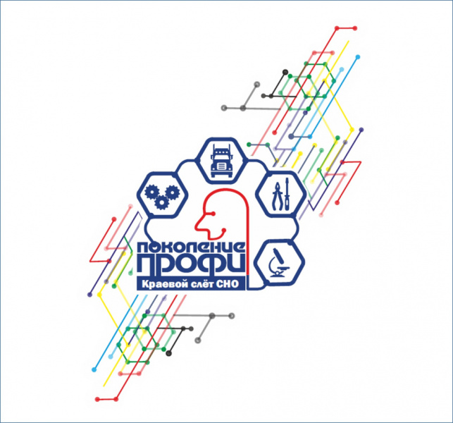 Краевой слёт студенческих научных обществ и объединений «Поколение ПРОФИ» пройдет в крае