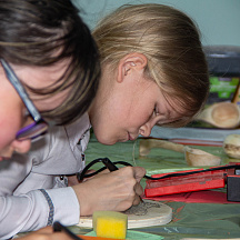 Заключительный этап Всероссийской олимпиады профессионального мастерства обучающихся по укрупненной группе специальностей 35.00.00 Сельское, лесное и рыбное хозяйство