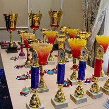 Краевой фестиваль "Готов к труду и обороне" среди СПО Хабаровского края