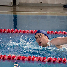 Фестиваль ГТО 2022 (19-20 апреля 2022)