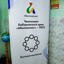 Чемпионат Хабаровского края Абилимпикс 2022 (17.05.2022)