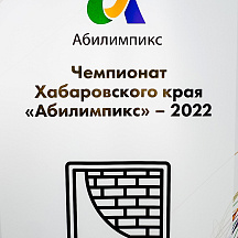 Чемпионат Хабаровского края Абилимпикс 2022 (16.05.2022)