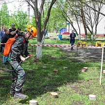 Заключительный этап Всероссийской олимпиады профессионального мастерства обучающихся по укрупненной группе специальностей 35.00.00 Сельское, лесное и рыбное хозяйство